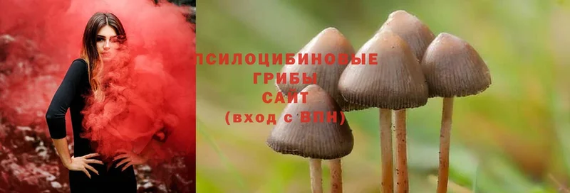 Псилоцибиновые грибы Magic Shrooms  МЕГА рабочий сайт  Микунь 