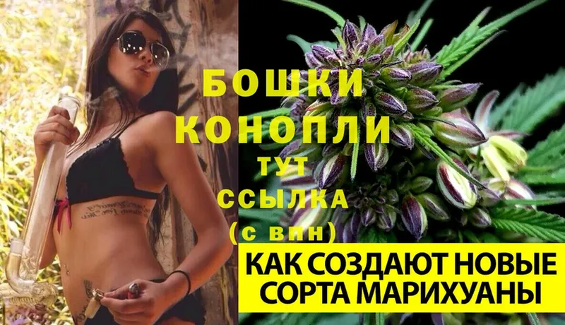 Шишки марихуана THC 21%  Микунь 